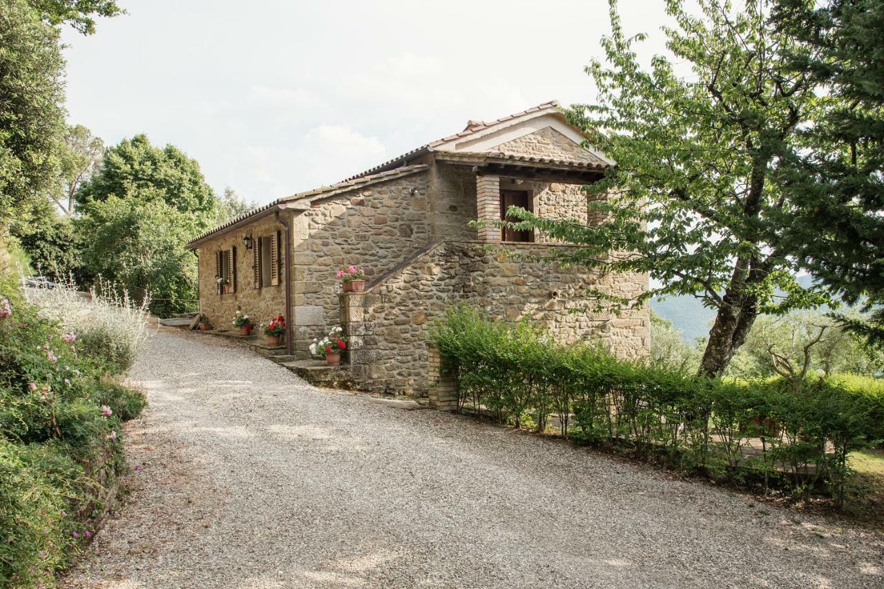 Casa Rancacci Guest House Mercatale  Bagian luar foto
